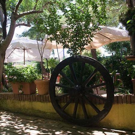 Hotel Ristorante Solari Briatico Bagian luar foto