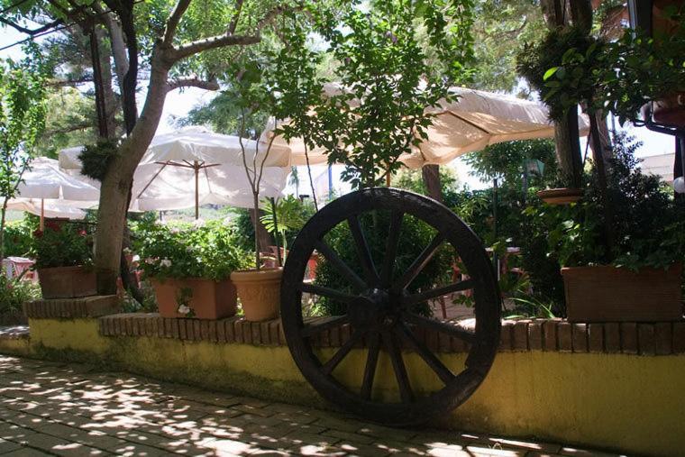 Hotel Ristorante Solari Briatico Bagian luar foto